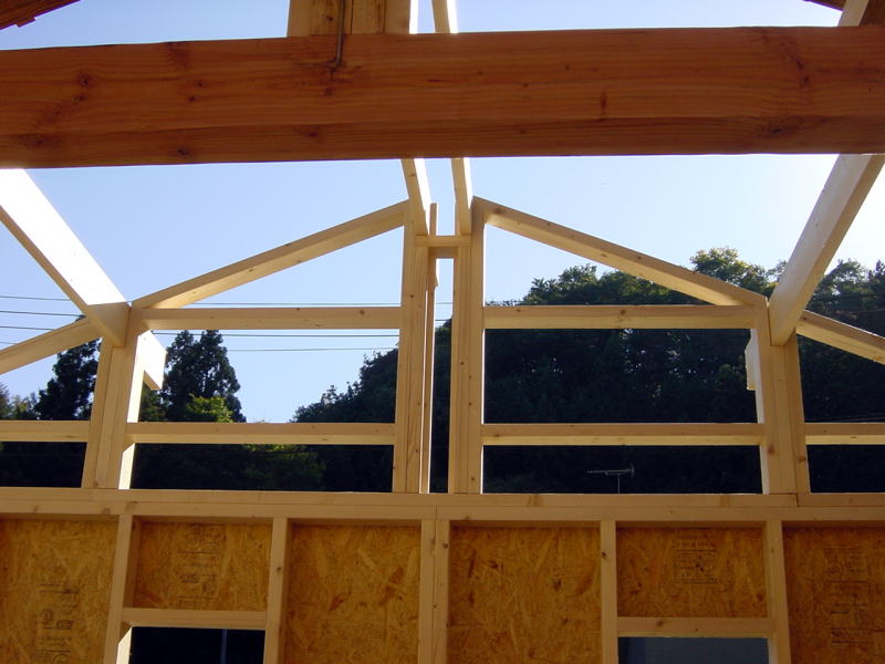 ２×４工法で増築工事中の小屋