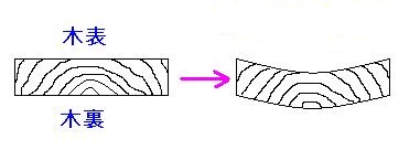 木表と木裏の変形のパターン