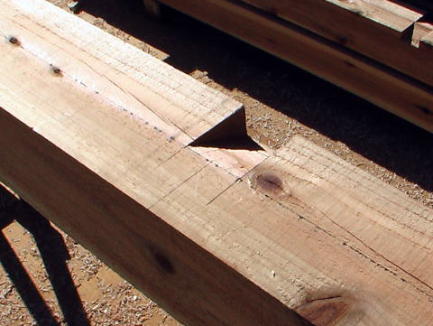 母屋（もや）の垂木が乗る部分を欠き取る＝垂木掘り