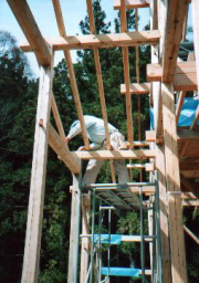 木造軸組み タルキの取付け
